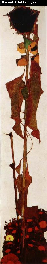 Egon Schiele Sunflower